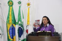 Agosto Lilás -  Procuradora da Mulher fala sobre o mês de conscientização pelo fim da violência doméstica