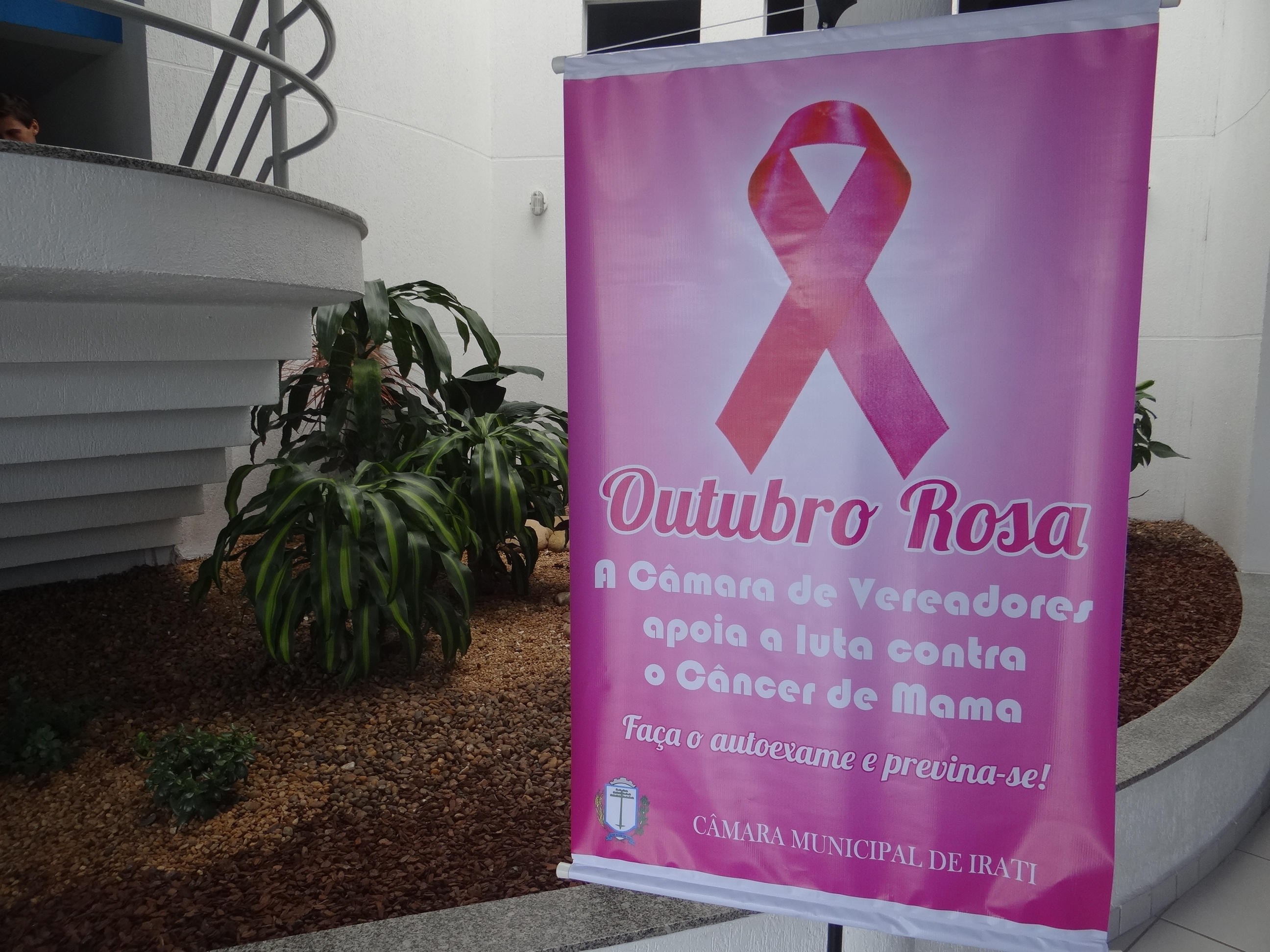 Câmara Municipal apoia a luta contra o câncer de mama