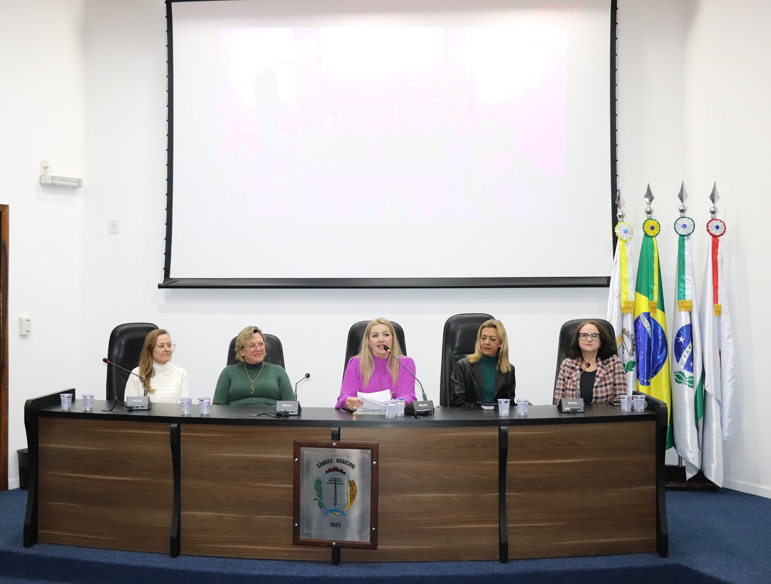 Mulheres e Meninas se reúnem em Irati para combater a violência política