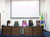 Mulheres e Meninas se reúnem em Irati para combater a violência política
