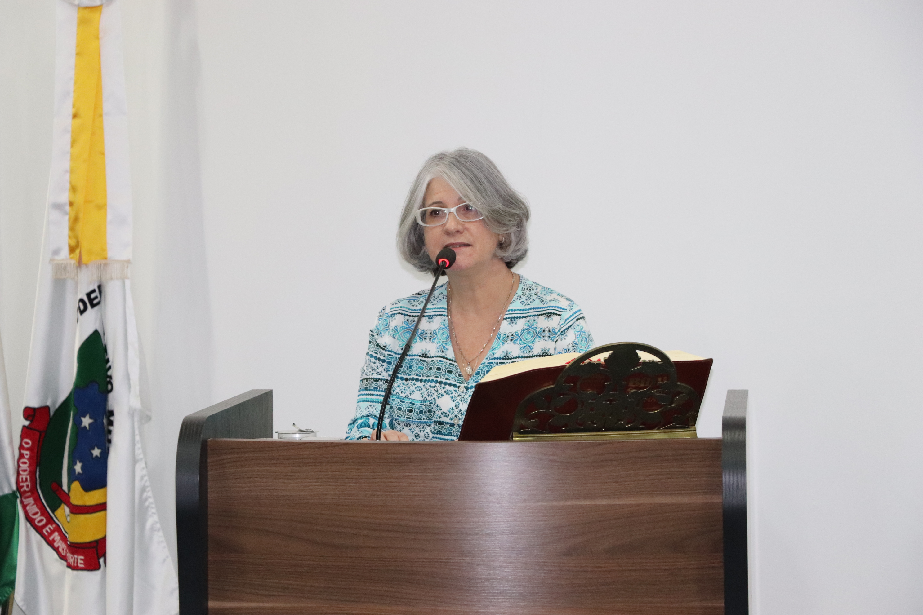 Na Tribuna, vice-presidente da ADECSUL explana sobre os trabalhos turísticos na “Terra dos Pinheirais”