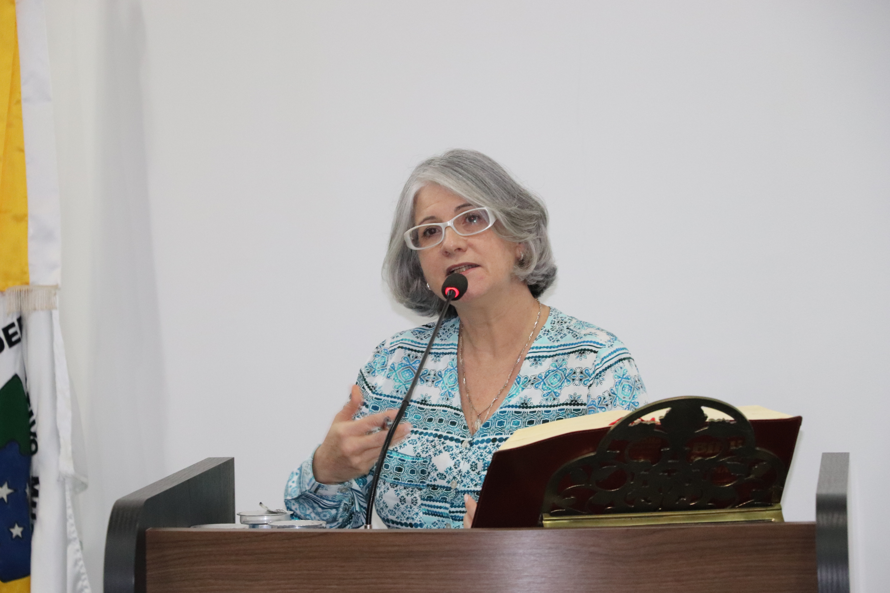 PL que declara de Utilidade Pública a ADECSUL no município é aprovado