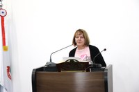 Presidente da Anapci explana sobre as ações e atividades da Associação