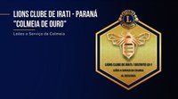 Projeto que declara de Utilidade Pública no Município o “Lions Clube de Irati” é aprovado