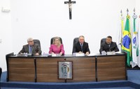 Projeto que trata da limpeza de terrenos baldios é aprovado em 1ª Votação