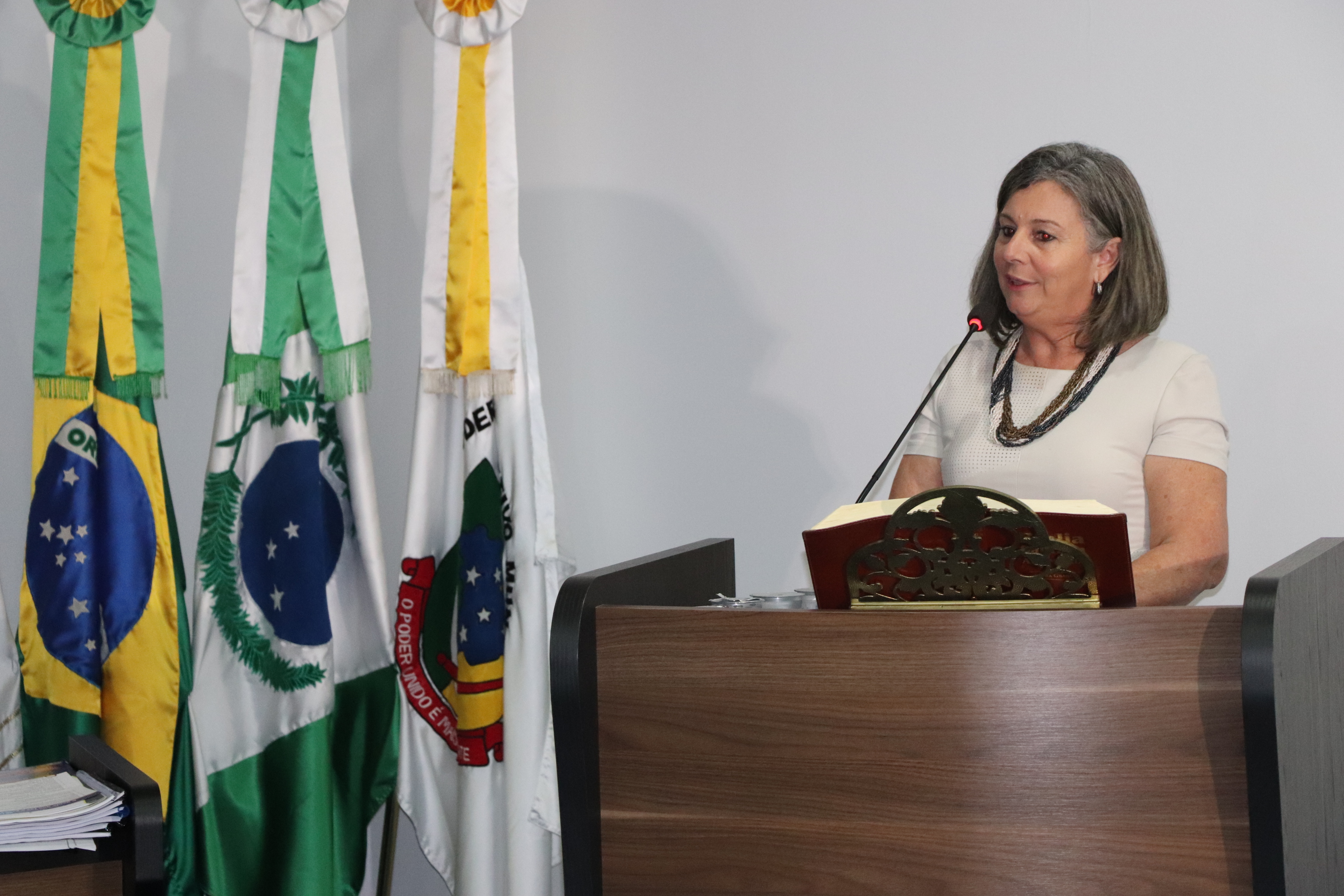 Secretária de Saúde presta esclarecimentos, respondendo questionamentos dos Vereadores