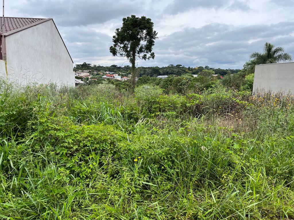 Vereadores discorrem sobre lotes e imóveis sujos, Capela Mortuária da Vila São João, Programa Porteira Adentro e indagam Comissão Municipal de Trânsito 
